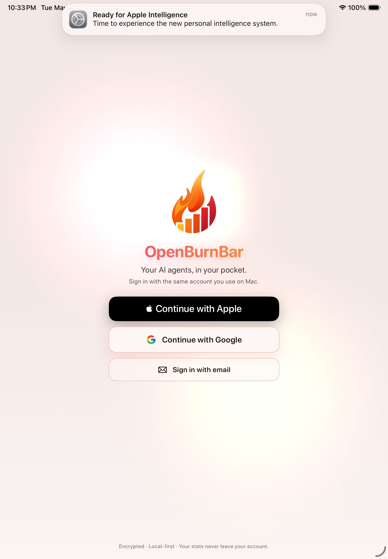OpenBurnBar iPad app — sign-in screen with Apple, Google, and email options